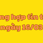tổng hợp crypto