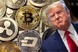 Trump crypto usa