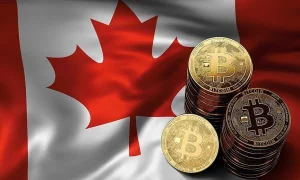 Trường tiểu học ở Canada kiện Mỏ crypto