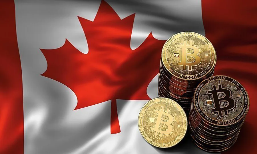 Trường tiểu học ở Canada kiện Mỏ crypto
