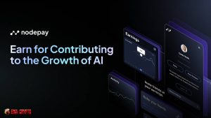Nodepay là gì?
